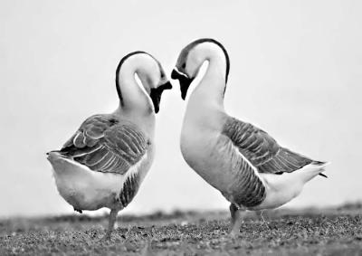 Love...