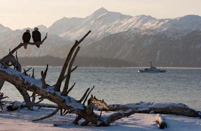 Looking Out To Kachemak Bay