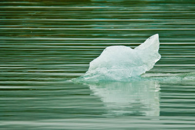 Ice in the stream