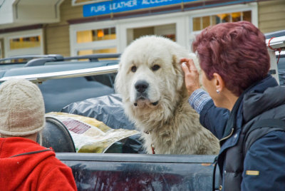 Juneau denizen