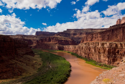 Colorado River from the Shafer Trail