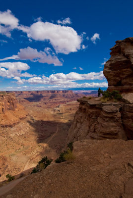 Shafer Trail 4