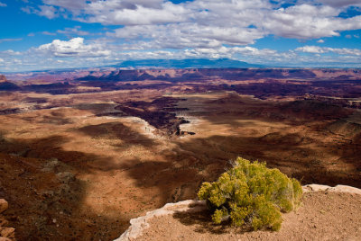 White Rim