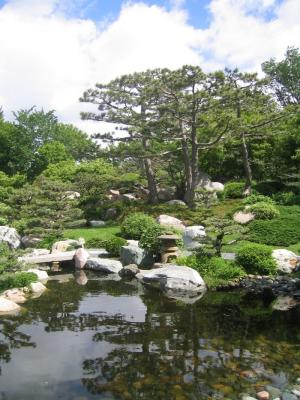 Japanese Garden in St Paul.JPG