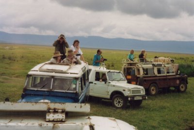 Paparazi in Ngorongoro Crater.jpg