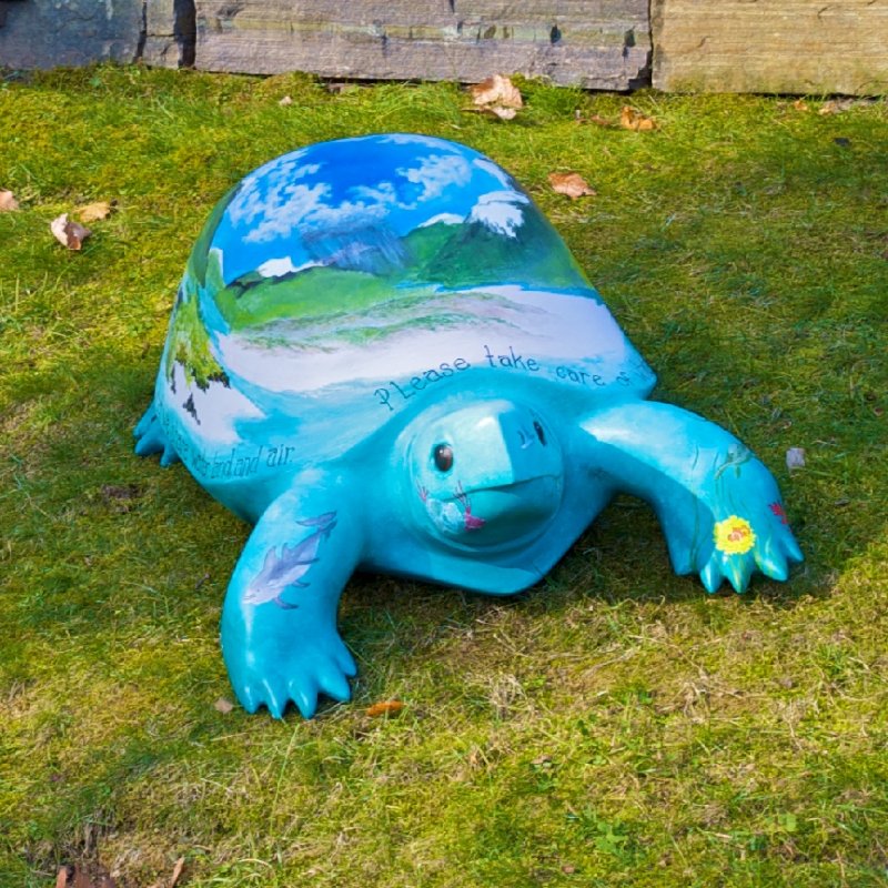 Turtles 3.jpg