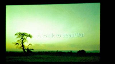 A Walk to Beautiful (17 of 38)-Edit.jpg