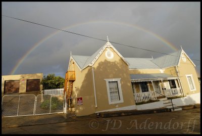 Napier rainbow