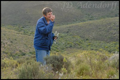 Flora Cameron (CREW Swellendam) shares a find with Caitlin