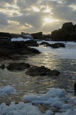 Seal point nature reserve