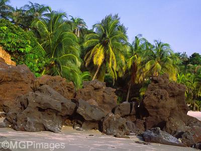 Cap Skirring, Casamance, Senegal