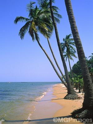 Carabane Island, Casamance, Senegal
