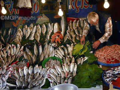 Fish Market, Karaky, Istanbul, Turkey