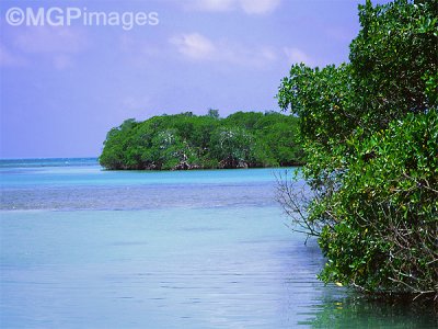 Reserva de Sian Kaan, Yucatn, Mexico