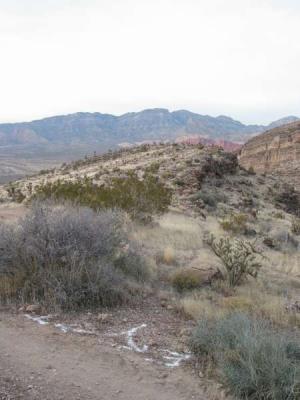 IMG_5752.jpg