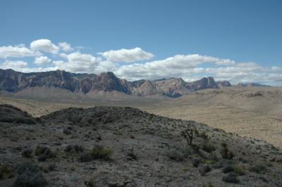 DSC_9385_web.jpg