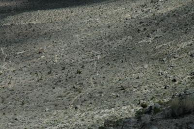 DSC_9413_web.jpg