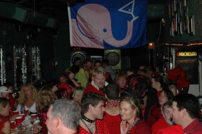 DSC_5395.jpg