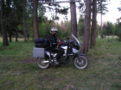 g3/26/595226/3/119757840.4gNUb07f.jpg
