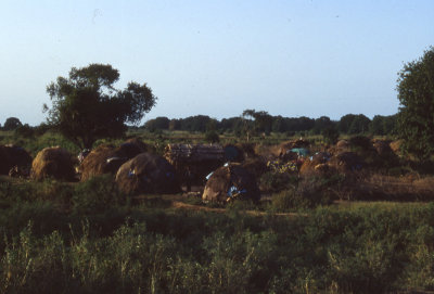 Nomad settlement