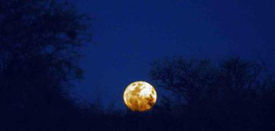 Raising moon in Central Kalahari