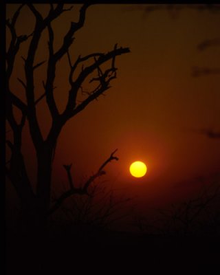 Sunset in Kalahari