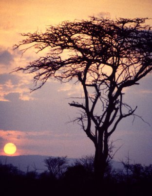 Sunset in Tsavo, Kenya