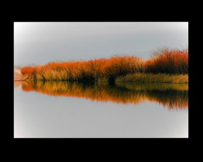 Bosque del Apache National Wildlife Refuge;  New Mexico, US