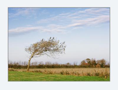 Zeeland