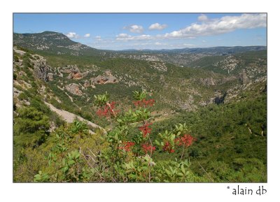 Environs de St.-Guilhem-le-Dsert