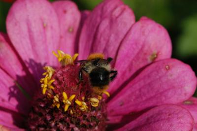 DSC_0026a.jpg