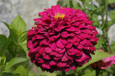 DSC_0086a.jpg