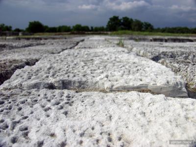 P7158737_DCE.JPG