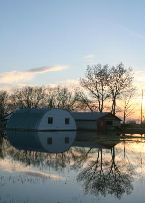 circle reflect