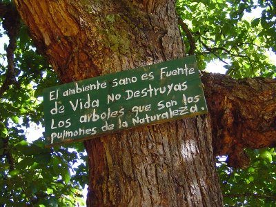 The environment is the Fountain of Life. Don't destroy the trees, as they are the lungs of Nature