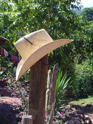 Campesino's hat on the fence
