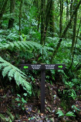 The trail was pretty well marked, but at times we felt like we were in a video game and had to find the hidden path