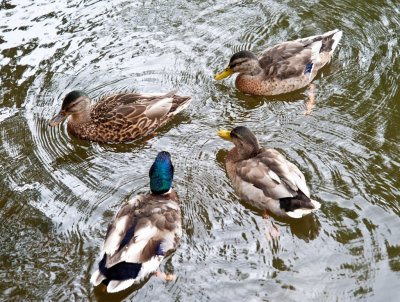 _DSC5587-LR3b2_web.jpg