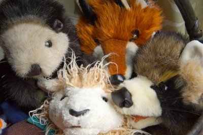 Otter, fox, raccoon, lamb -- for Mathilda