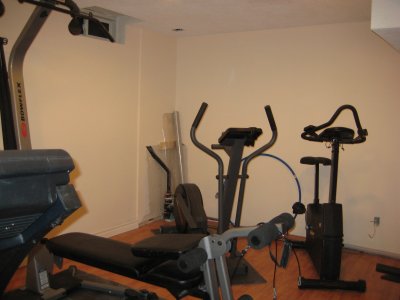 17/1/10 and the gym is almost complete