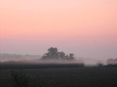 Misty sunrise 11th September