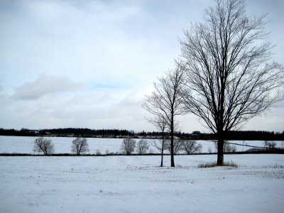 Winter is here