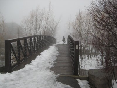 Bridge to the park