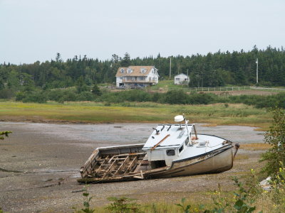 g3/26/704026/3/67080647.DdeAMYAd.jpg