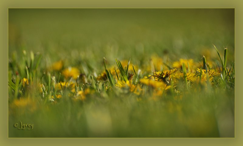 The Lawnmowers POV