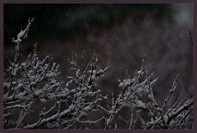 This Is Spring?