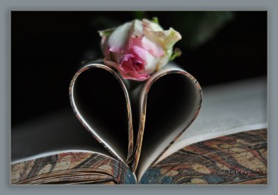 This Heart Is An Open Book