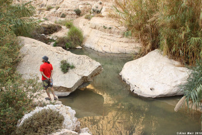 IMG_5244.Wadi Kelt