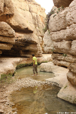 IMG_5315.jpg  Wadi Kelt
