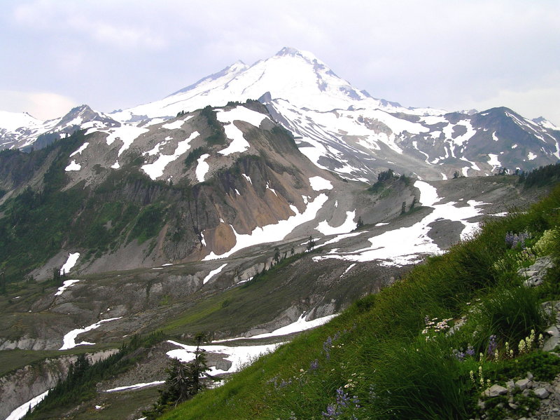 Mt. Baker (view from Table Mt. trail)